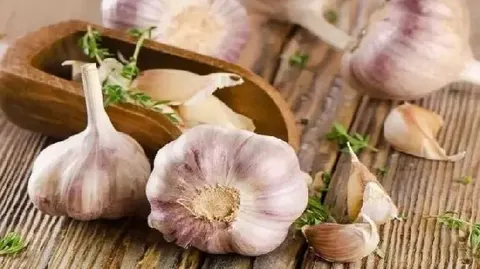 阿城大蒜