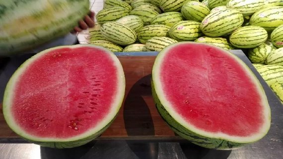 马家湖西瓜