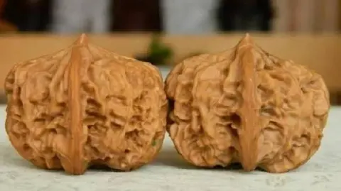 涞水麻核桃