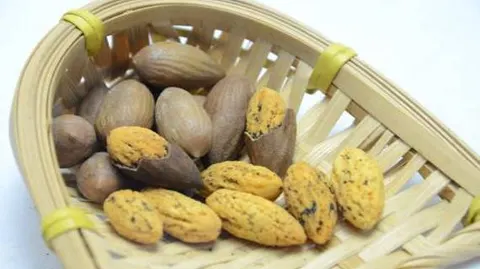 枫桥香榧