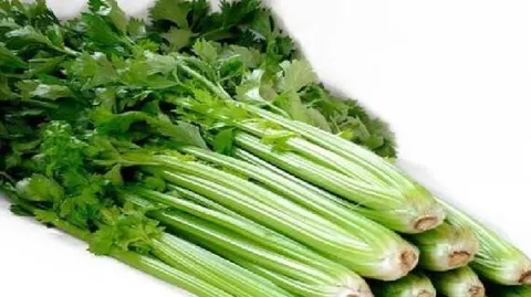 封丘芹菜