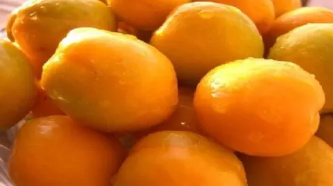 敦煌李广杏