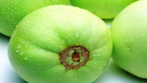 李岗西甜瓜