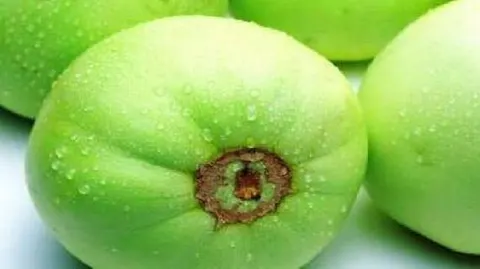 李岗西甜瓜