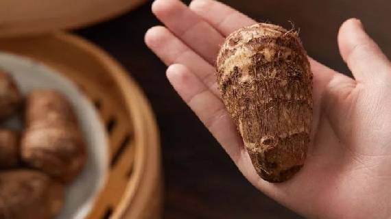 莱阳芋头