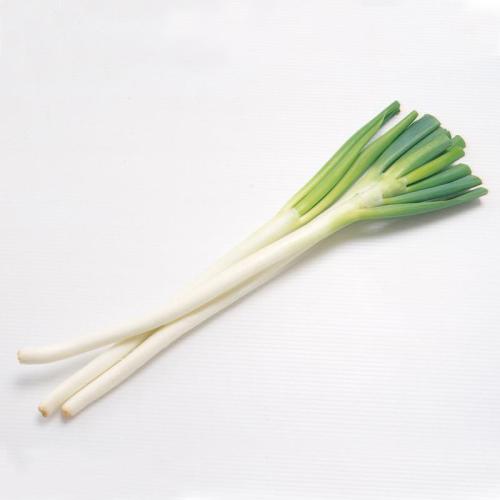 寿光大葱