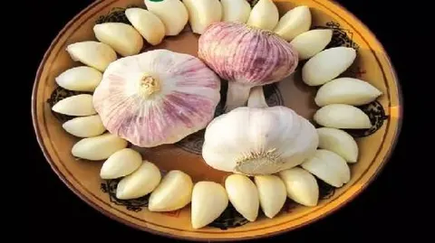 长凝大蒜