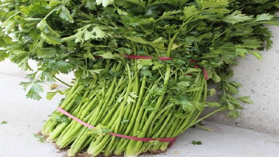 鲍家芹菜