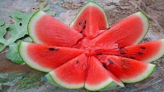 大荔西瓜