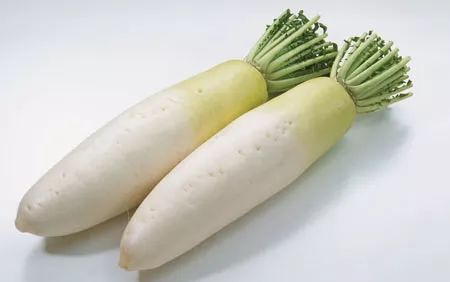 七里湖萝卜