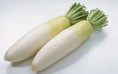 七里湖萝卜