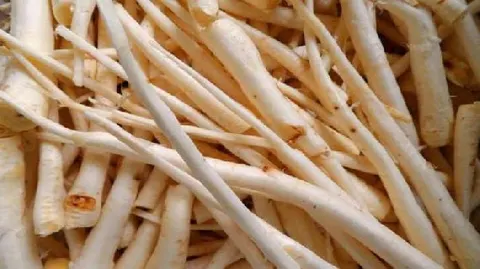 李兴桔梗