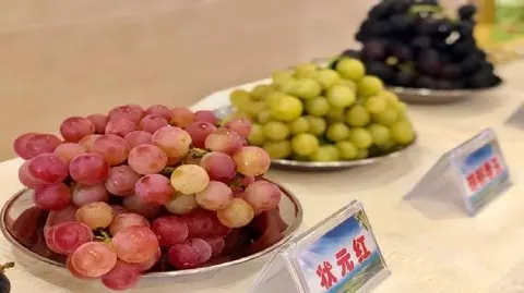 延怀河谷葡萄