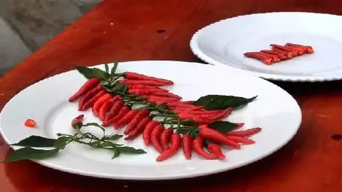 湾子辣椒