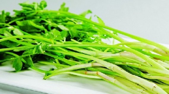 高庄芹菜