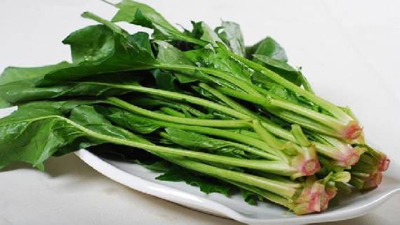 洪兰菠菜