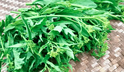 远安冲菜